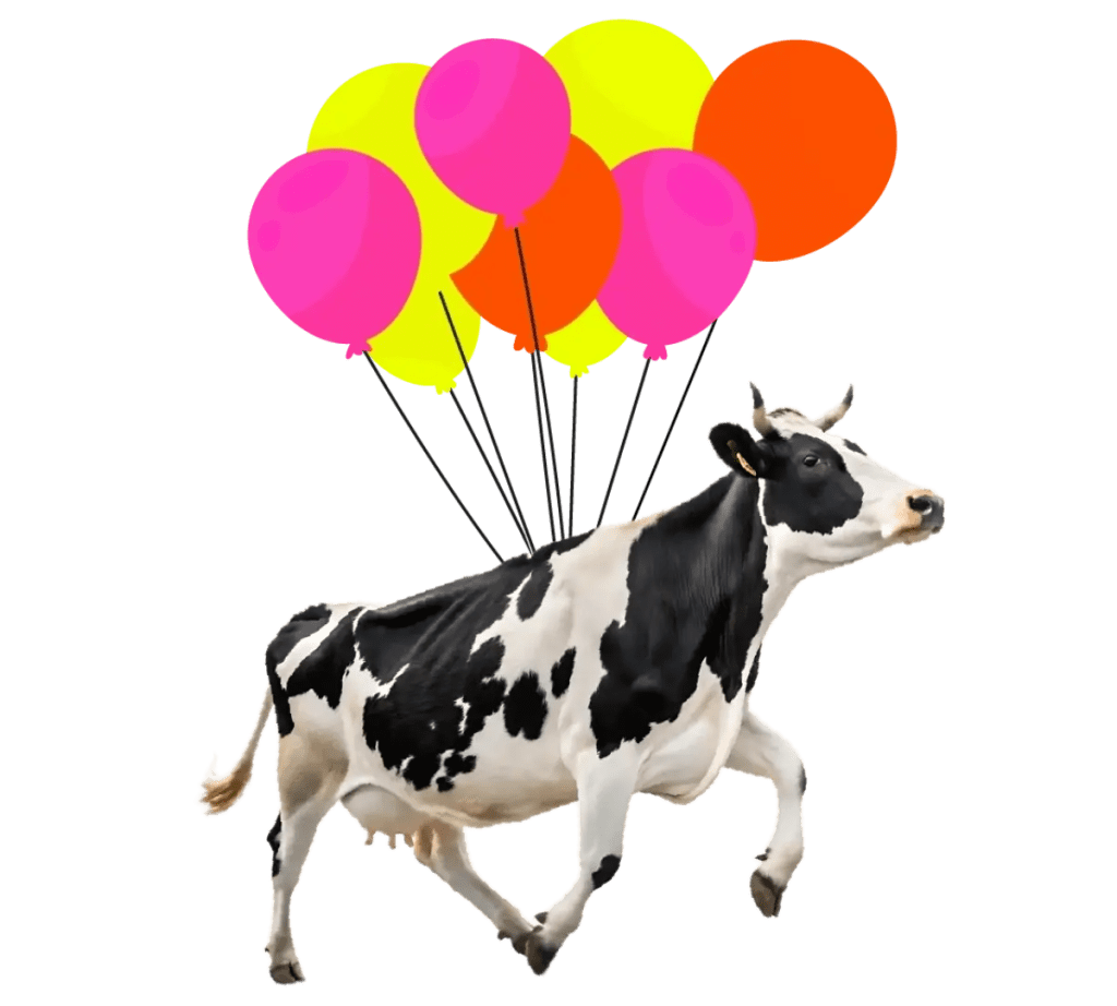 Une vache vole porté par des ballons dans un ciel bleu
